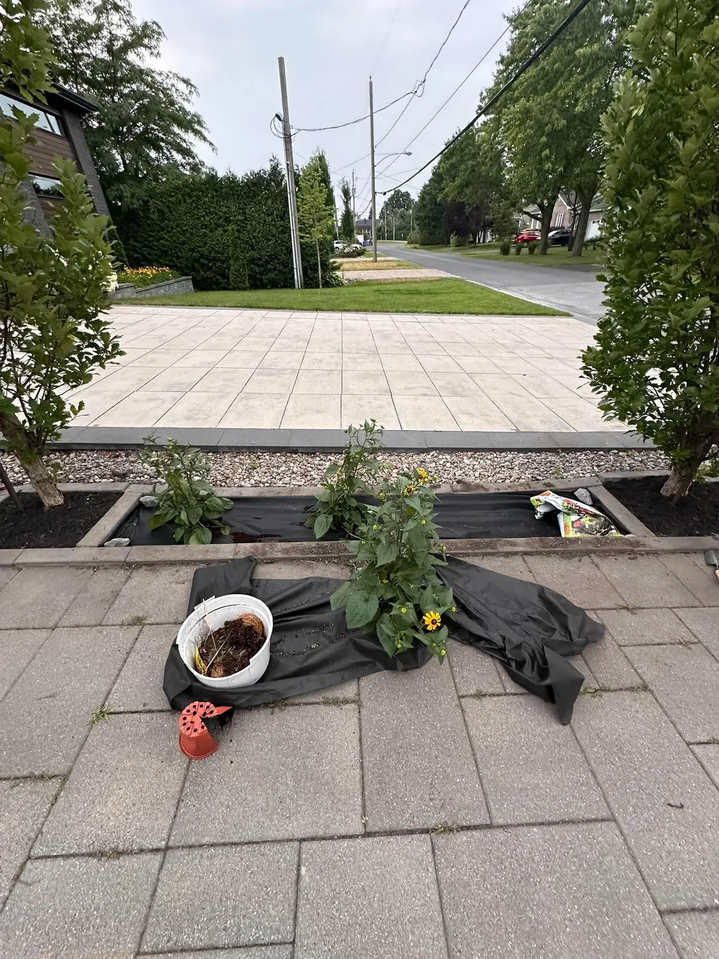 Installation de membrane et préparation d'une plate-bande avant la pose de paillis au Québec